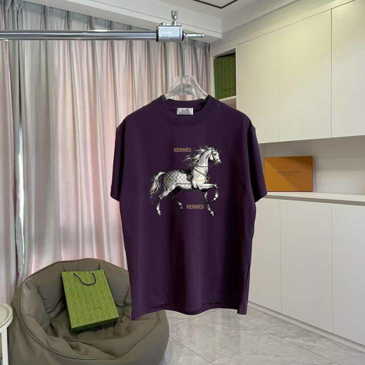 Picture of Hermes T Shirts Short _SKUHermesS-2XLhgntx989766
